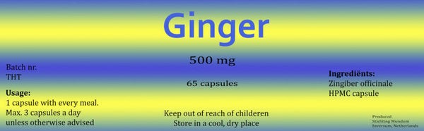DHC Ginger® capsules 500mg - 65 stuks