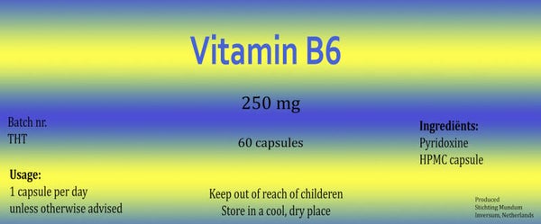 DHC Vitamin 6® 250mg - 60 capsules