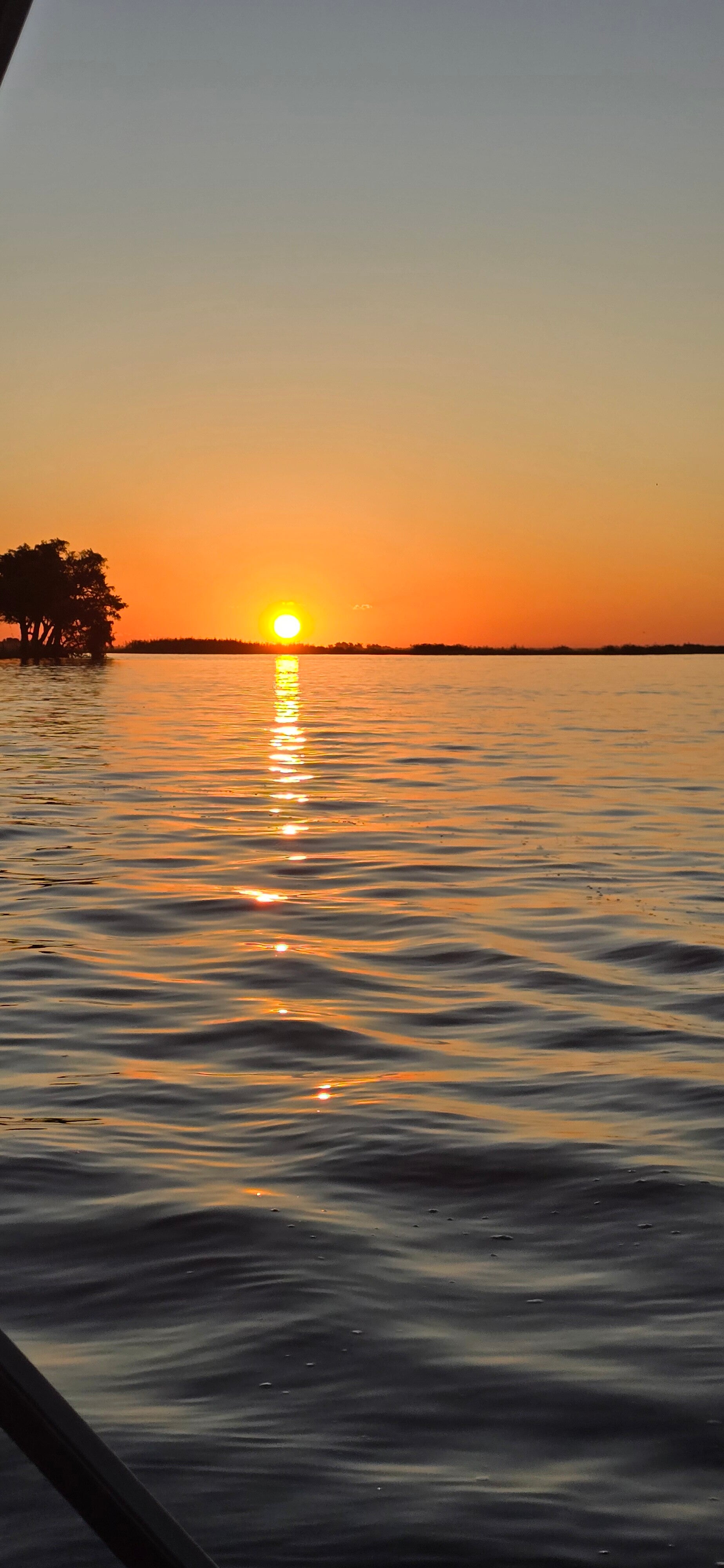 Botswana Wildlife Images