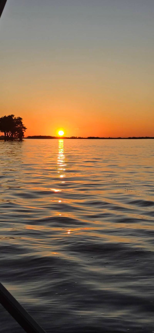 Botswana Wildlife Images