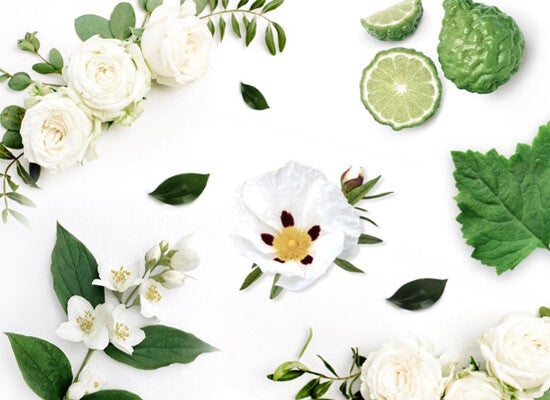 Chypre geur patrice fransez