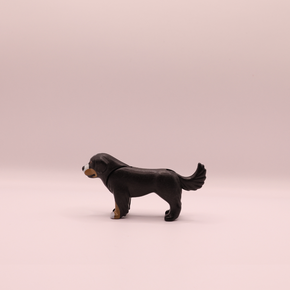 Playmobil - hond