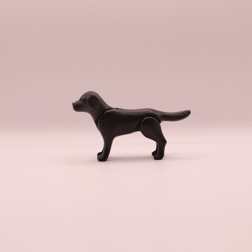 Playmobil - hond