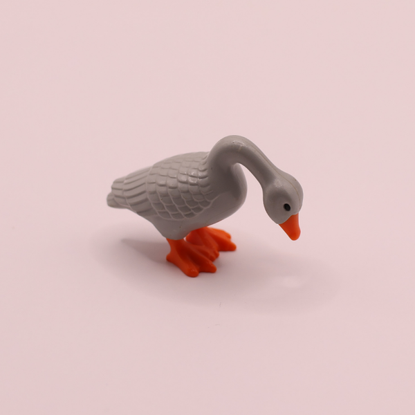 gans