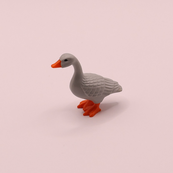 gans