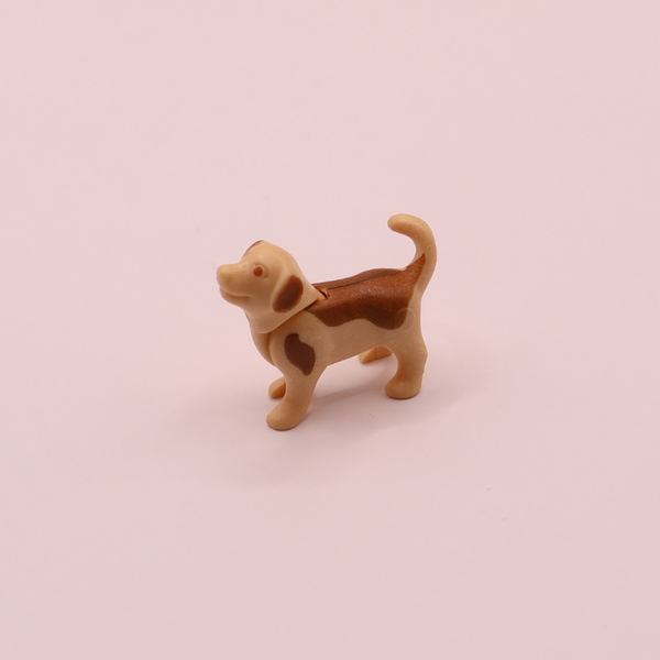 puppy