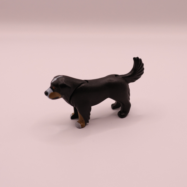 hond