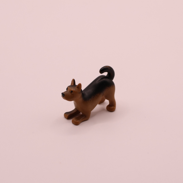 puppy