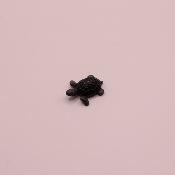 schildpad