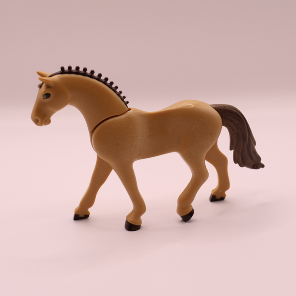paard