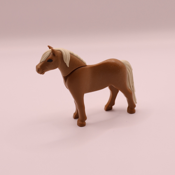 pony