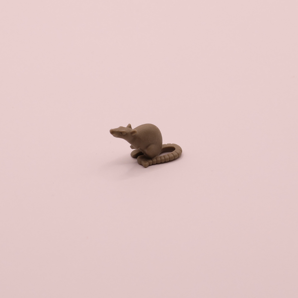 rat