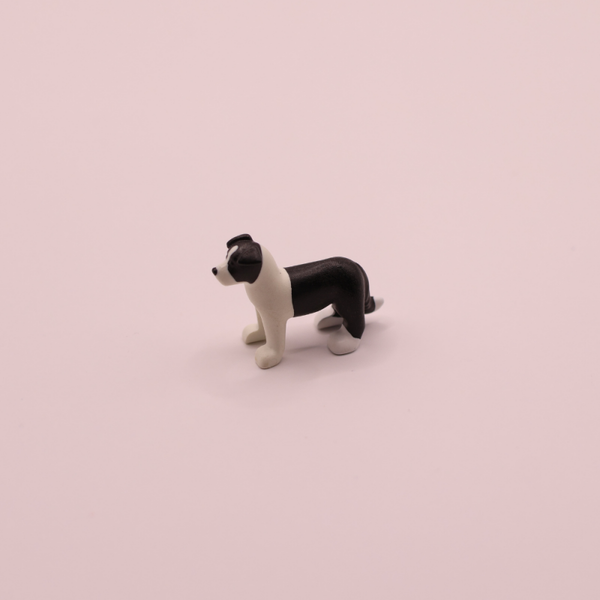 puppy