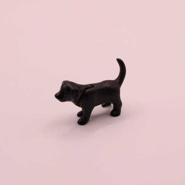 puppy