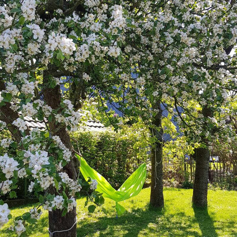 Carl Roger, NLP, Resilienz, Lebensberatung