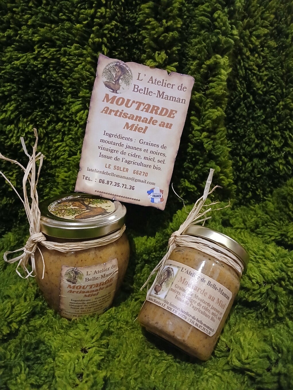 Moutarde au miel et vinaigre de cidre