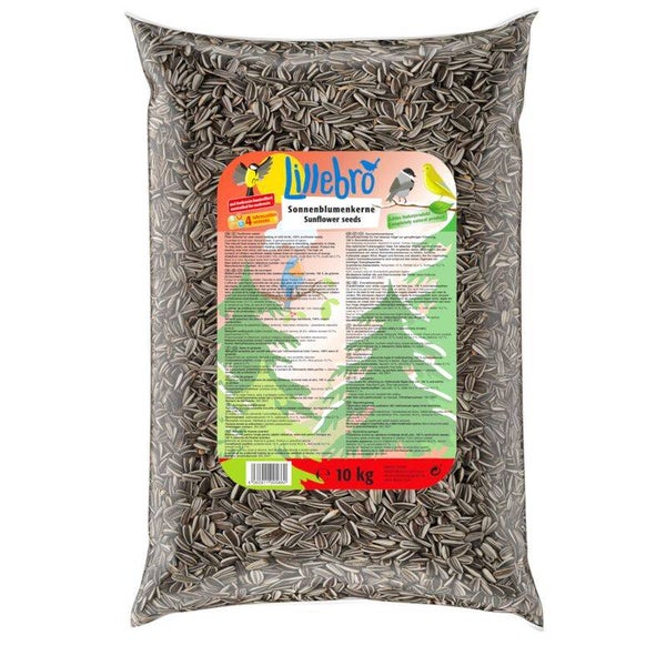 Graines de tournesol pour oiseaux sauvages