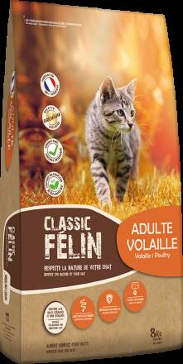 classic felin volaille