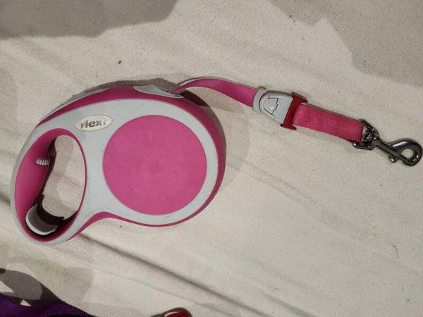 laisse retractable sangle rose