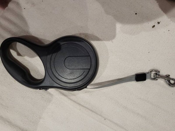 laisse retractable sangle