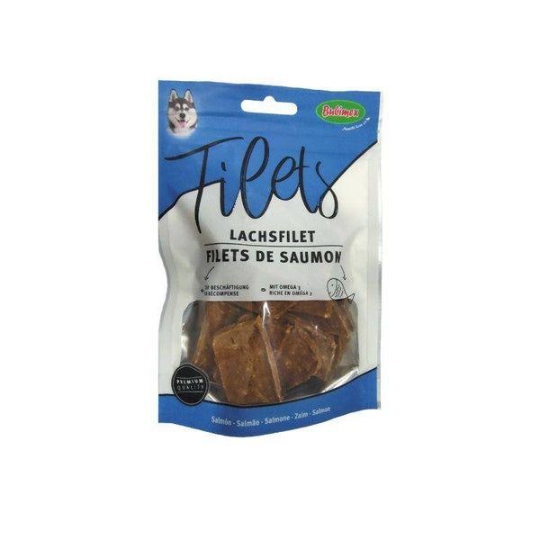 FILETS DE SAUMON 100G