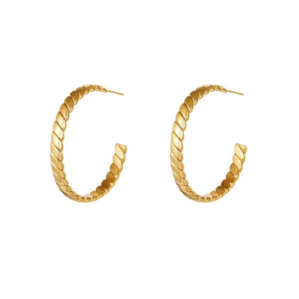 Oorringen van roestvrij staal goud