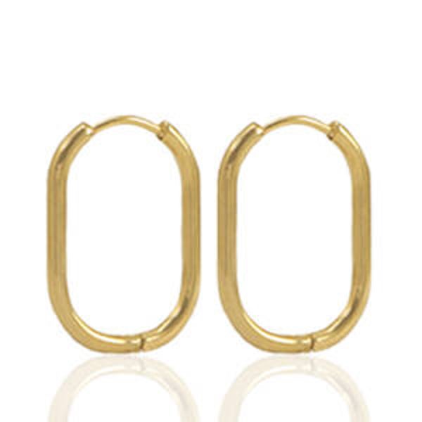 Stainless steel oorhangers goud.