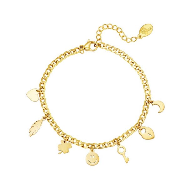 Stainless steel Armband  Goud met bedels