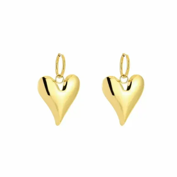 Oorbellen hart Goud stainless steel