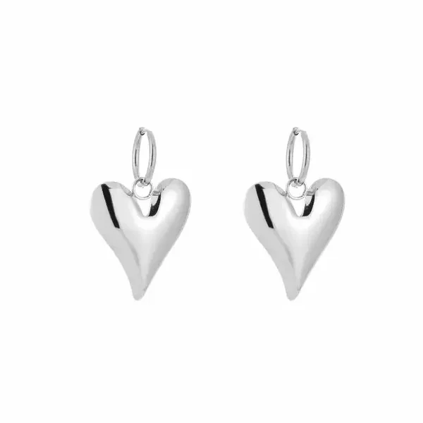 Oorbellen hart stainless steel silver