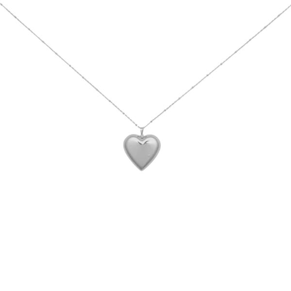 Lange love ketting stainless steel zilver