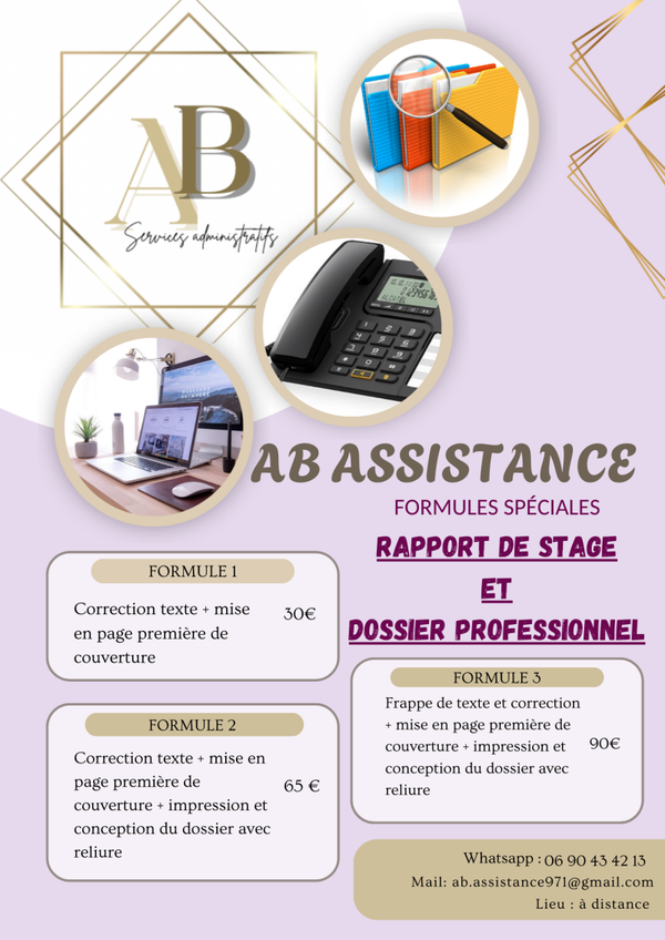 Offres spéciales Rapport de stage et Dossiers professionnels