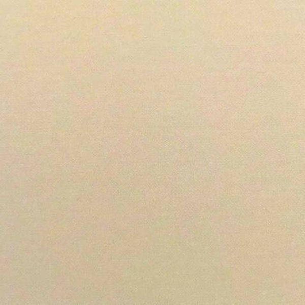 Rasacal Stucco couleur Standard MT001