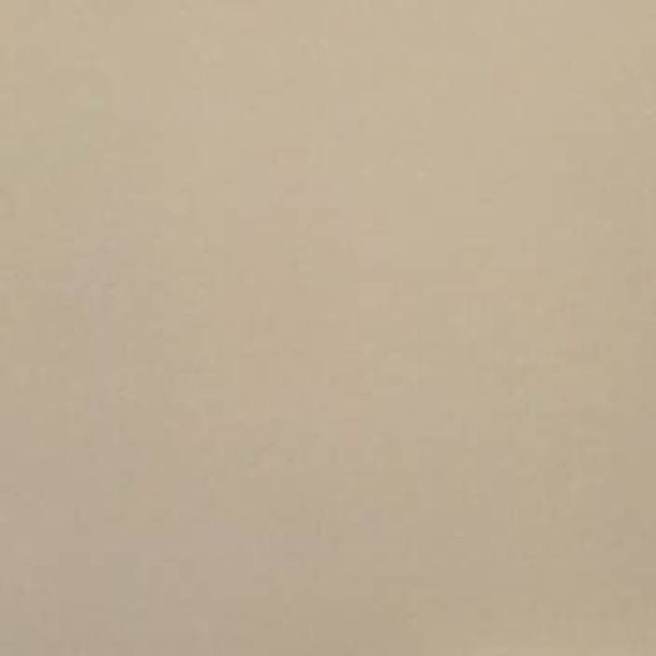 Rasacal Stucco couleur Standard MT006