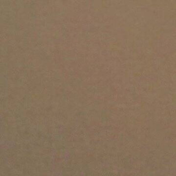 Rasacal Stucco Couleur Standard MT011