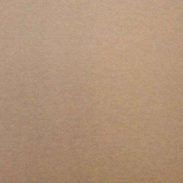 Rasacal Stucco Couleur Standard MT016