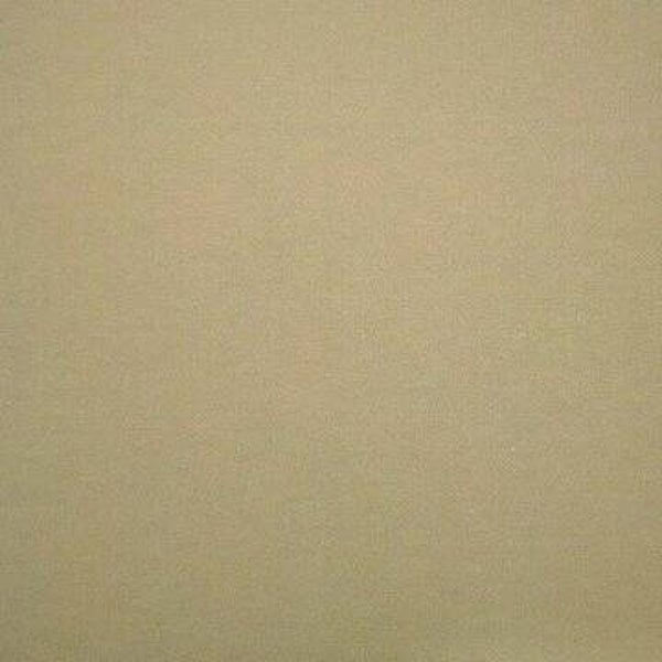 Rasacal Stucco de Chaux Couleur Spéciale MT021*