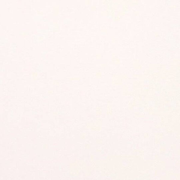 Rasacal Stucco de Chaux Couleur Standard MT031