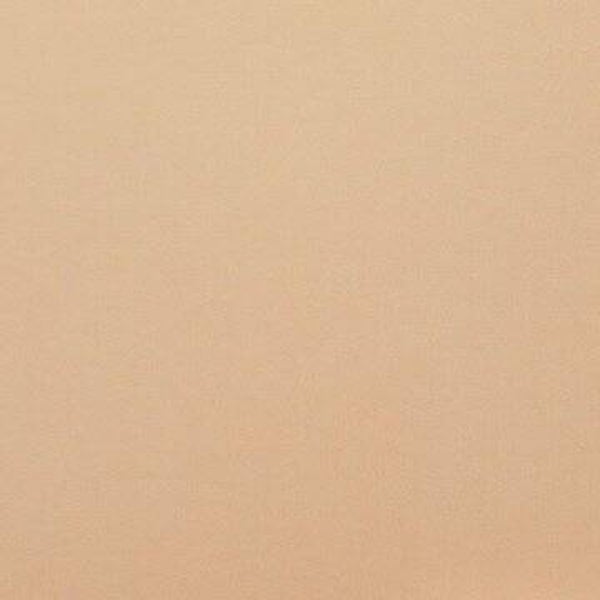 Rasacal Stucco Couleur Standard MT036