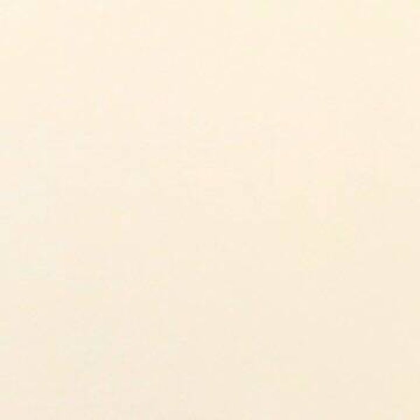 Rasacal Stucco de Chaux Couleur Standard MT041