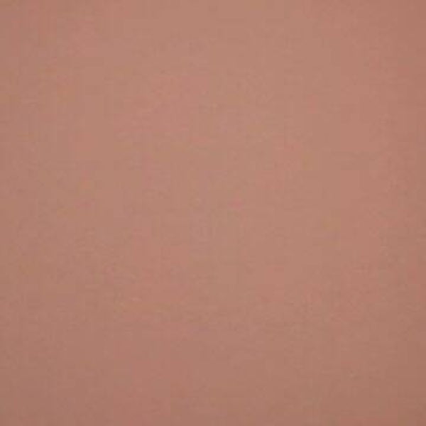 Rasacal Stucco Couleur Standard MT046