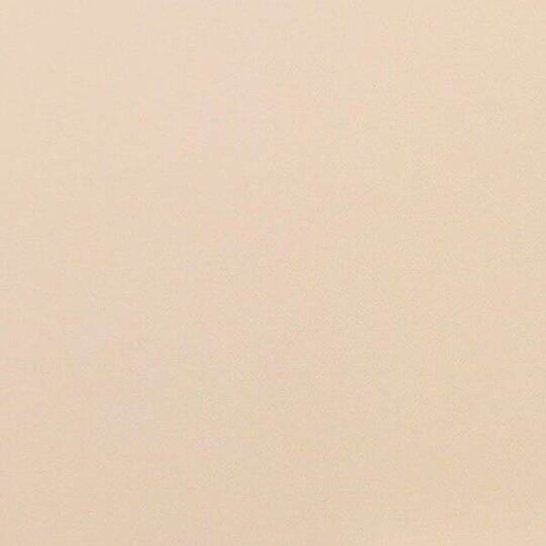 Rasacal Stucco Couleur Standard MT051