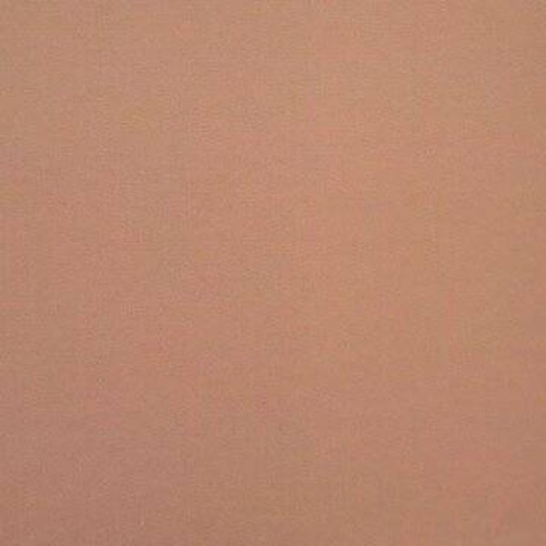 Rasacal Stucco Couleur Standard MT056