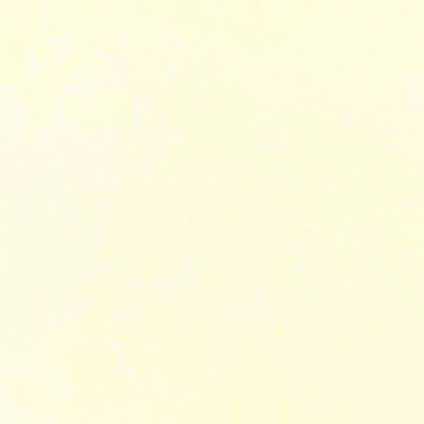Rasacal Stucco Couleur Standard MT061