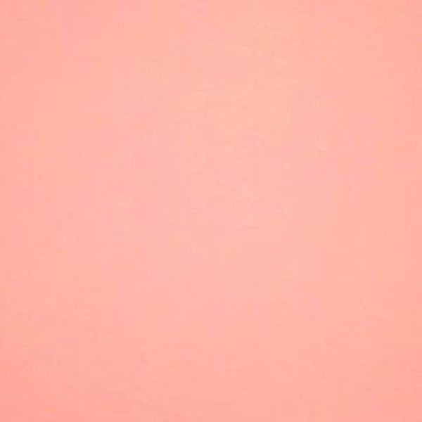 Rasacal Stucco Couleur Standard MT066