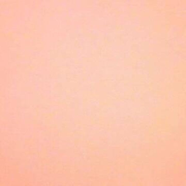 Rasacal Stucco Couleur Standard MT091