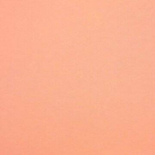 Rasacal Stucco Couleur Standard MT096