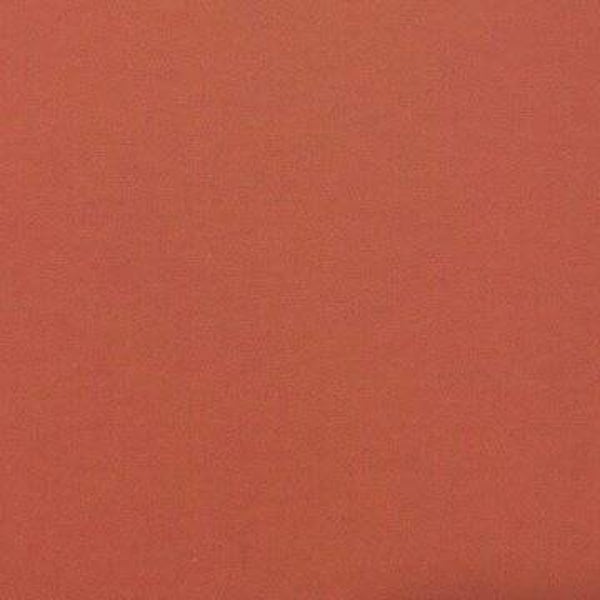 Rasacal Stucco de Chaux Couleur Spéciale MT126**