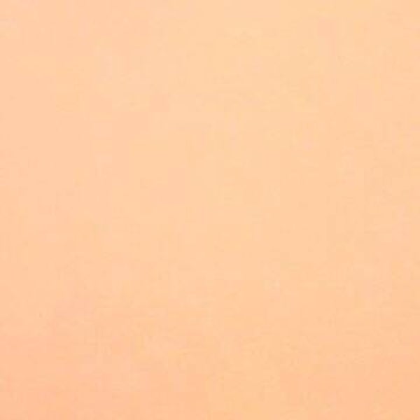 Rasacal Stucco de Chaux Couleur Standard MT151