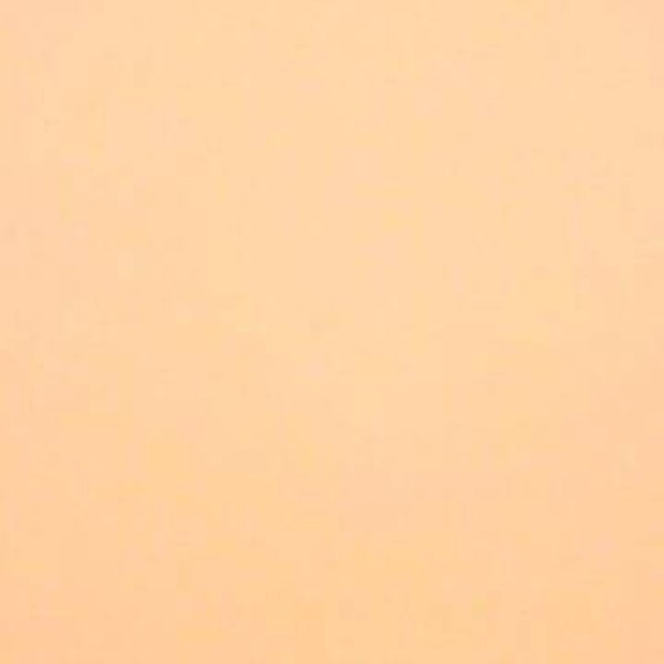 Rasacal Stucco de Chaux Couleur Standard MT181